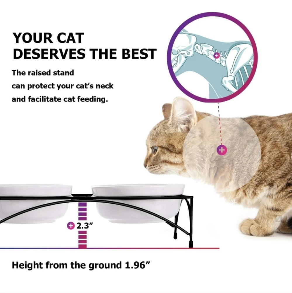YHY Cat Food Water Bowl with Stand White 🐈 😻 (READ)